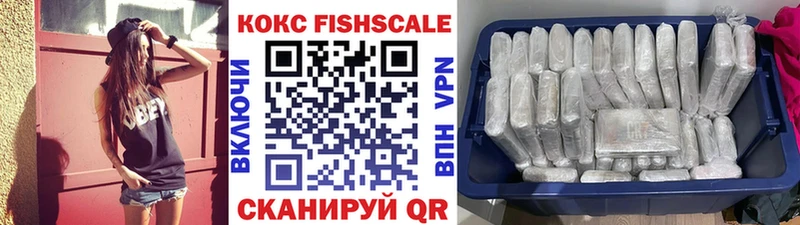 Cocaine Fish Scale  сколько стоит  мега ТОР  Высоковск 