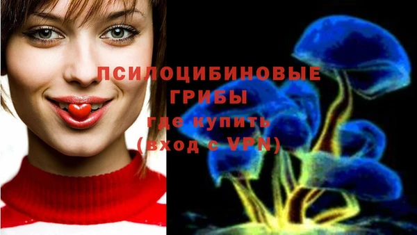 героин Белокуриха