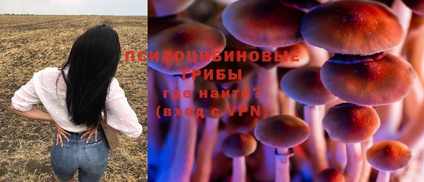 стафф Белоозёрский