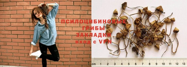 ГАЛЛЮЦИНОГЕННЫЕ ГРИБЫ Беломорск