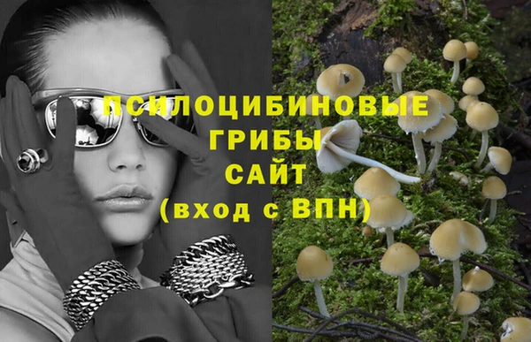 ГАЛЛЮЦИНОГЕННЫЕ ГРИБЫ Беломорск