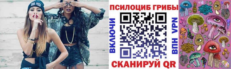 купить   Высоковск  Псилоцибиновые грибы прущие грибы 
