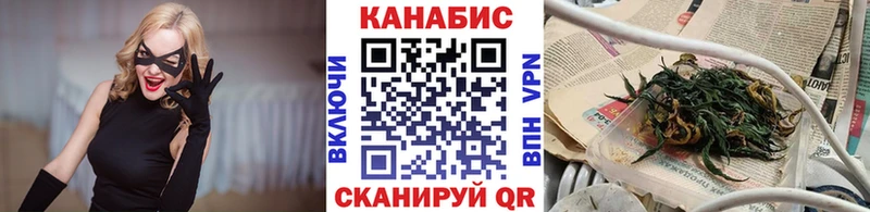 Шишки марихуана сатива  Высоковск 